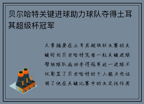 贝尔哈特关键进球助力球队夺得土耳其超级杯冠军 贝尔哈特关键进球助力球队夺得土耳其超级杯冠军